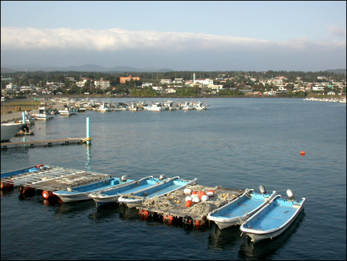 제주도 위미항 풍경 